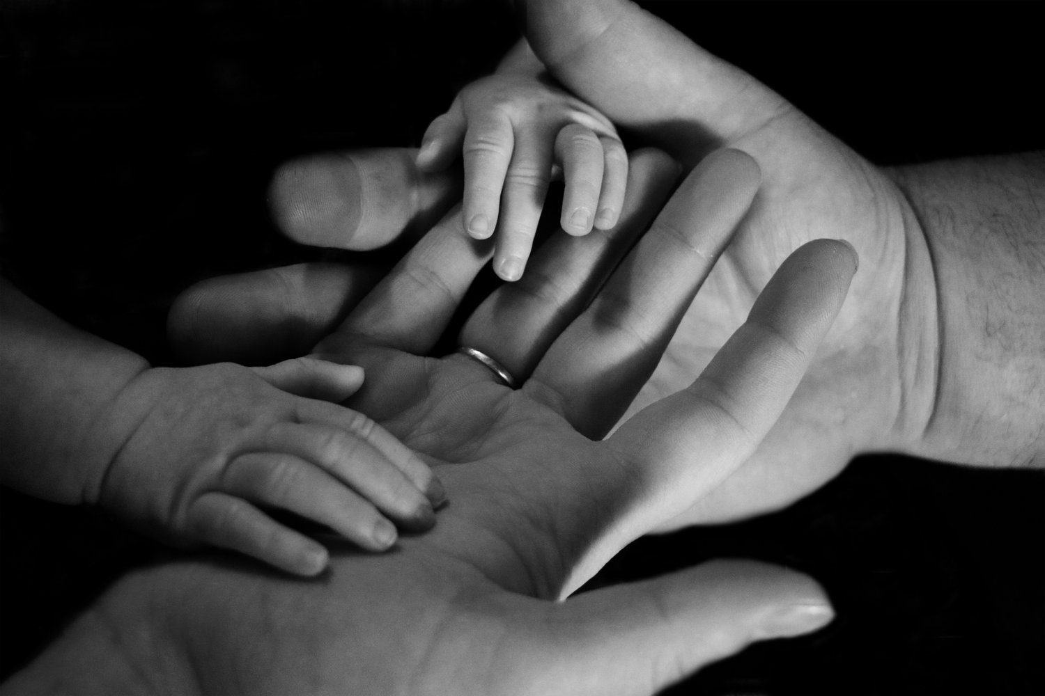 How a Family Law Attorney Can Help During Divorce or Custody Disputes — Every Movie Has a Lesson